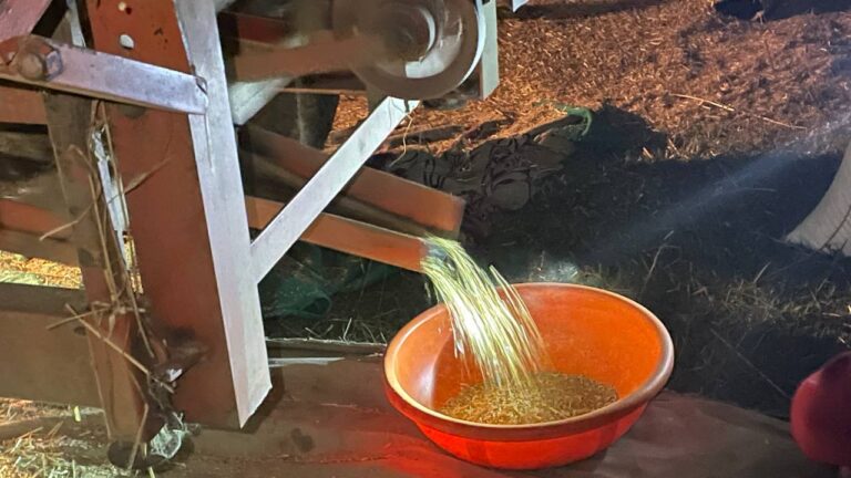 बदलाव : हल बैल से थ्रेसर तक