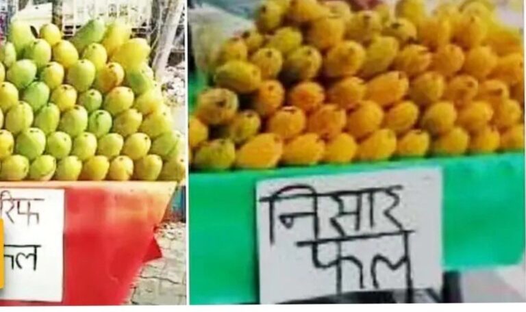 फलों की कौन जाति क्या धर्म