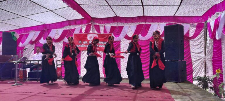 विकास का दिवास्वप्न : विपिन जोशी