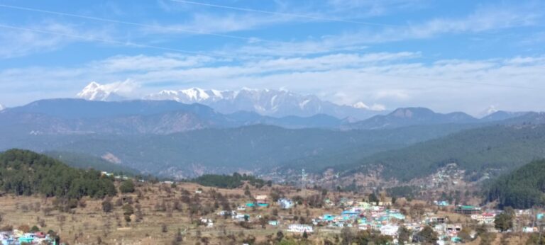 अलविदा दिसंबर 2024 : विपिन जोशी
