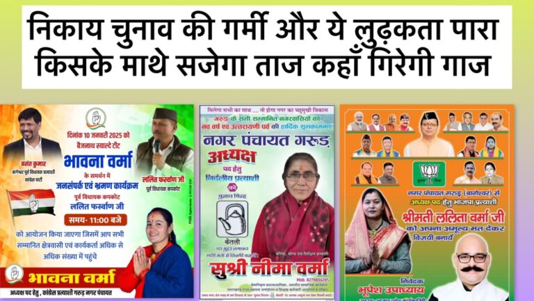 निकाय चुनावों की गर्मी और लुढ़कता पारा : विपिन जोशी