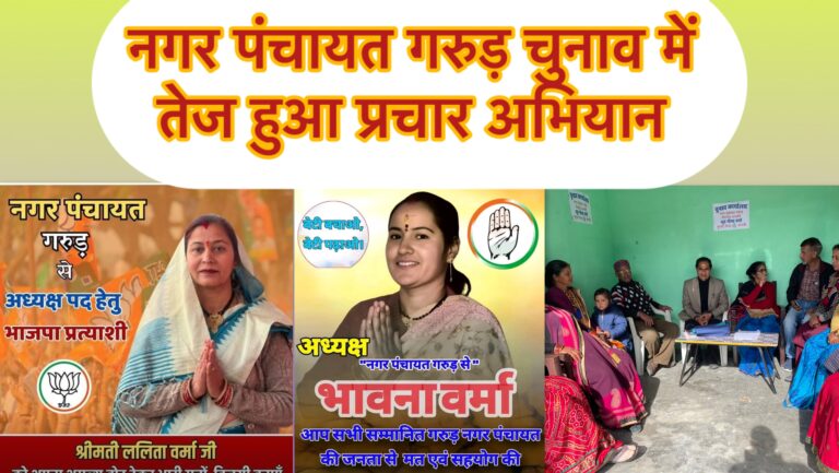 निकाय चुनावों में राष्ट्रीय दलों का दबदबा