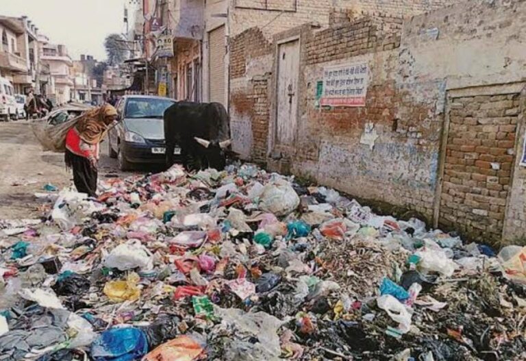 प्लास्टिक है धीमा ज़हर