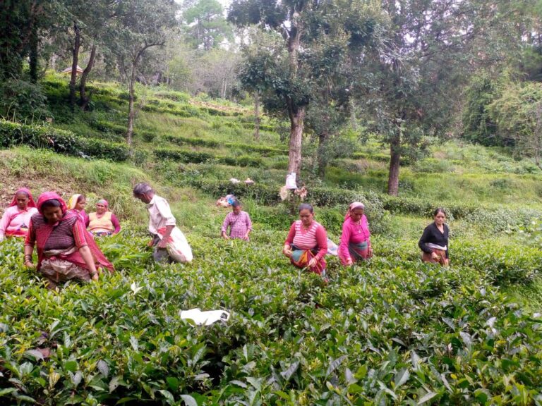 किसानों के शोषण की अनसुनी कहानी