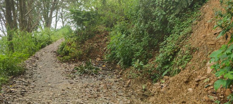 पर्यटन नगरी की सड़क बदहाल