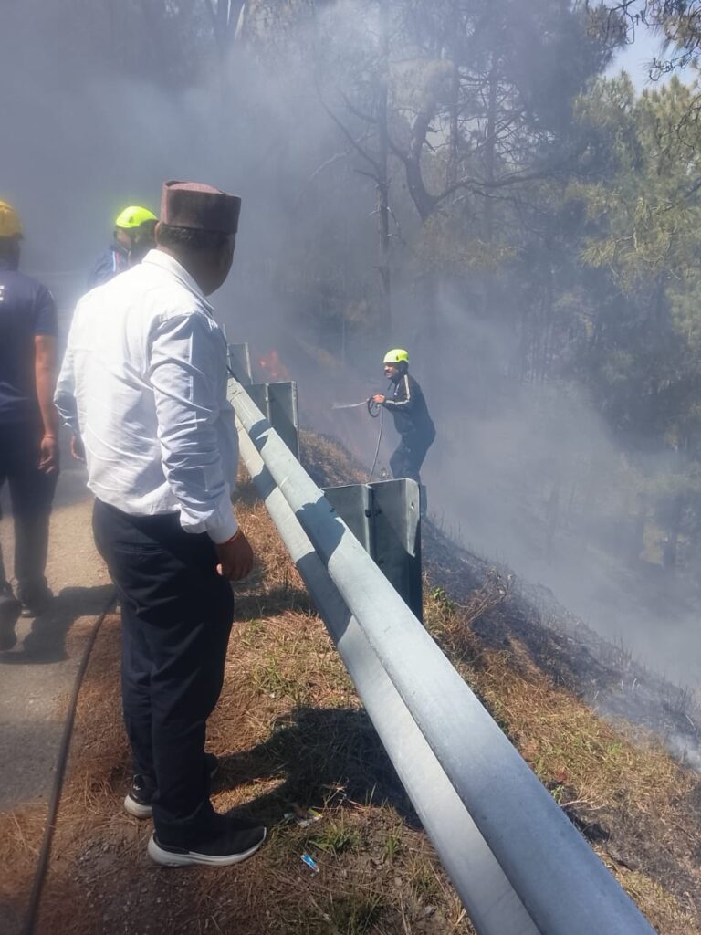 अयारतोली वन पंचायत में भड़की आग