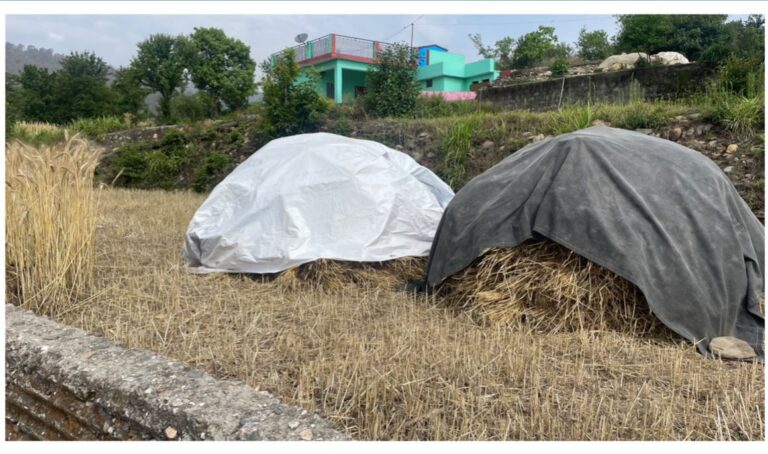 कृषि का बदलता परिदृश्य