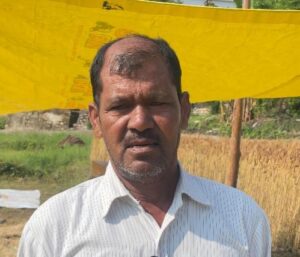 गेहूँ मड़ाई के इंतज़ार में मोहन दा का थ्रेसर 