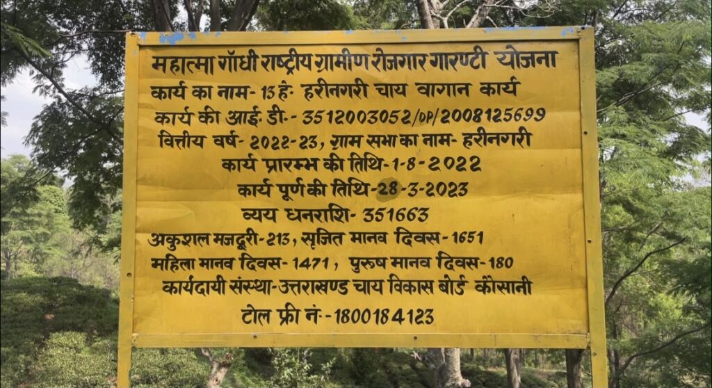 हरि नगरी चाय फैक्ट्री पतन की ओर