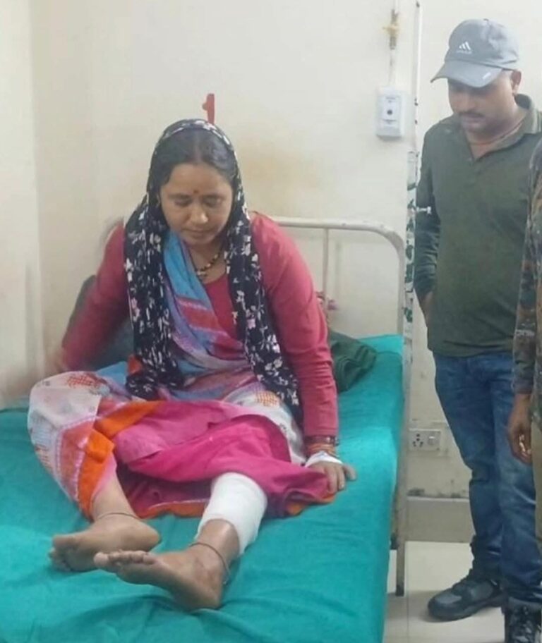 पाटली गरुड़ में महिला पर गुलदार का हमला